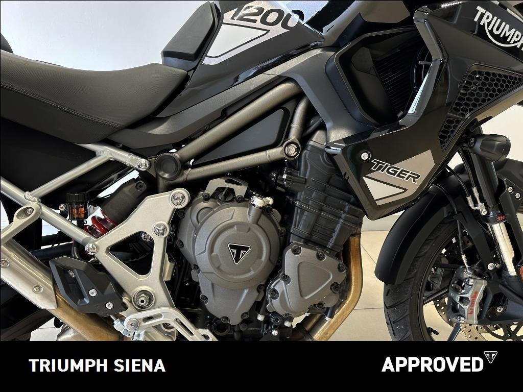 TRIUMPH Tiger 1200 GT Pro Abs