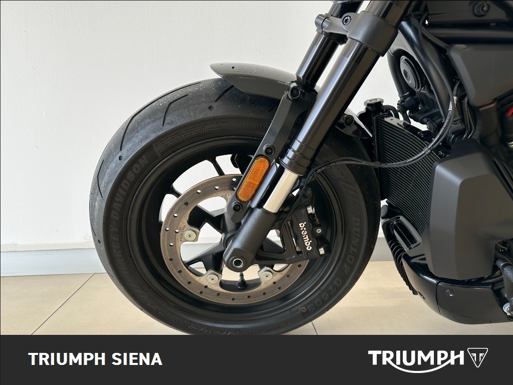 HARLEY DAVIDSON 1250 Sportster S Custom Color