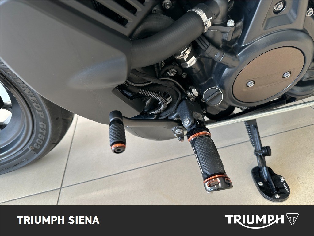 HARLEY DAVIDSON 1250 Sportster S Custom Color