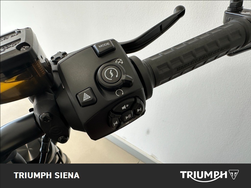 HARLEY DAVIDSON 1250 Sportster S Custom Color