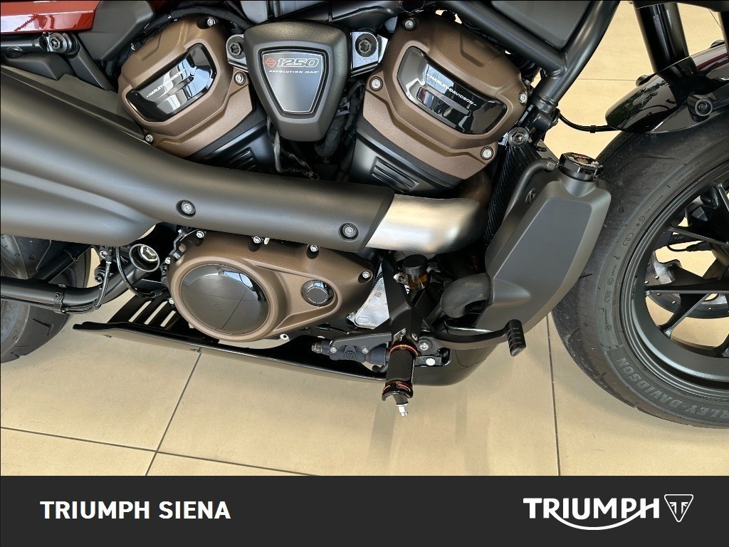 HARLEY DAVIDSON 1250 Sportster S Custom Color