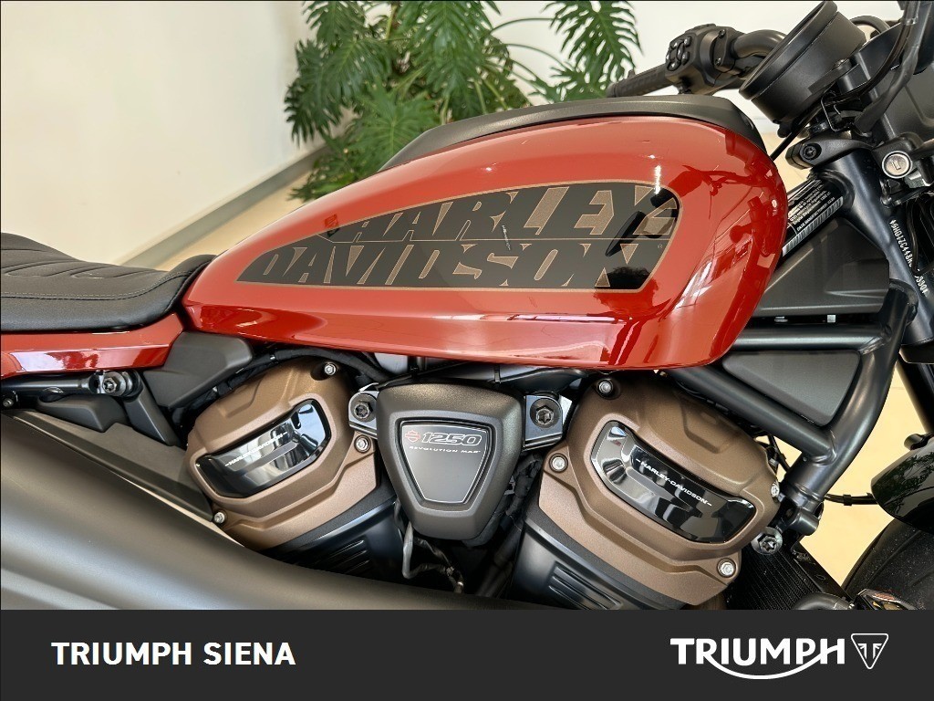 HARLEY DAVIDSON 1250 Sportster S Custom Color
