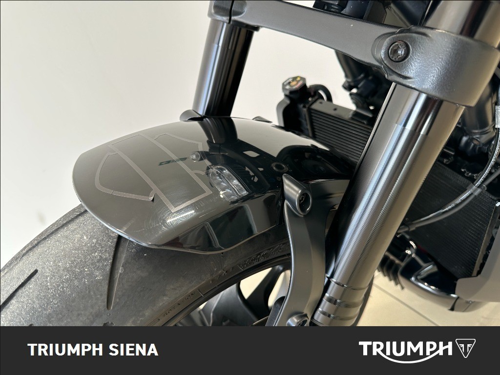 HARLEY DAVIDSON 1250 Sportster S Custom Color