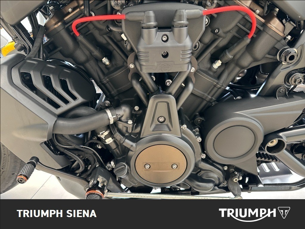 HARLEY DAVIDSON 1250 Sportster S Custom Color