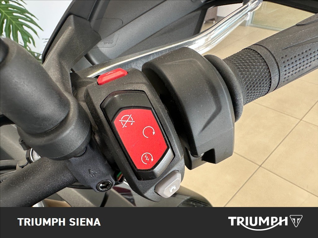 TRIUMPH Tiger 900 Rally Pro Abs