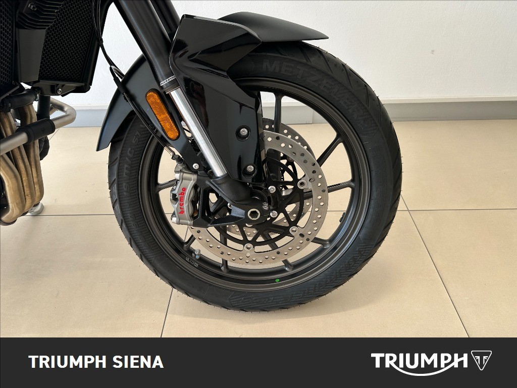 TRIUMPH Tiger 900 Alpine Edition