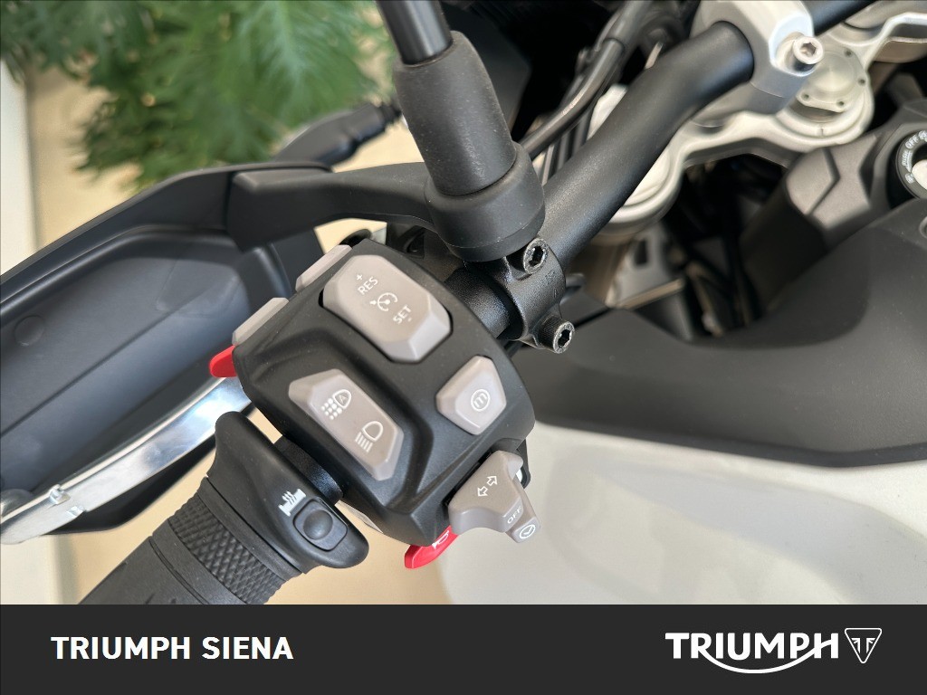 TRIUMPH Tiger 900 Alpine Edition