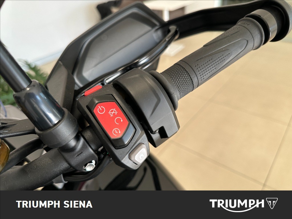 TRIUMPH Tiger 1200 GT Pro Abs