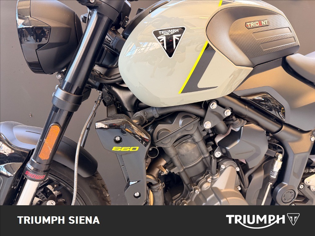 TRIUMPH Trident 660 Stone Grey Abs
